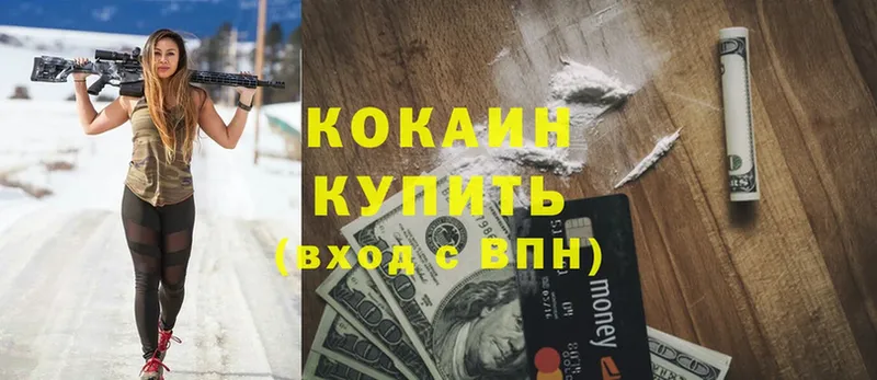 Cocaine Fish Scale  как найти закладки  Донецк 