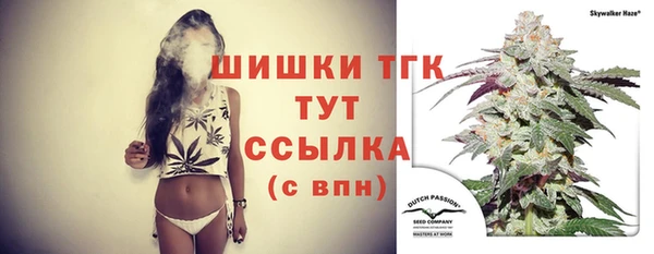 дурь Горно-Алтайск