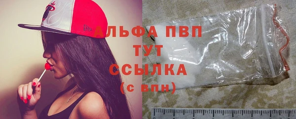 стаф Горнозаводск