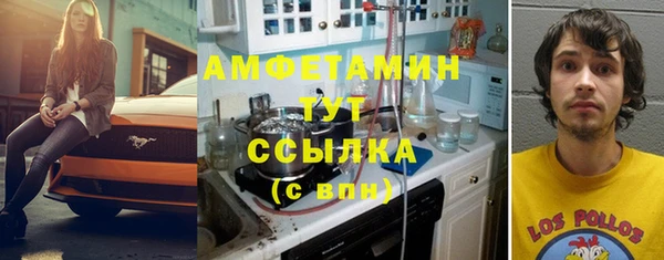 мдпв Горняк