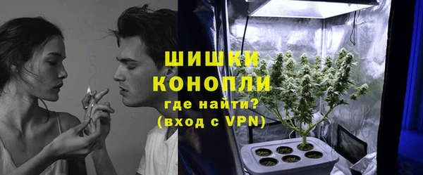 стаф Горнозаводск