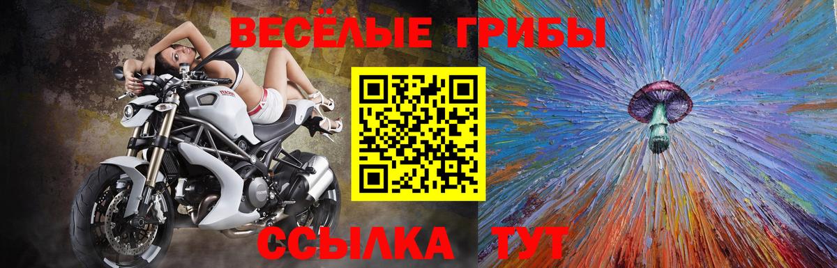 Галлюциногенные грибы прущие грибы Донецк