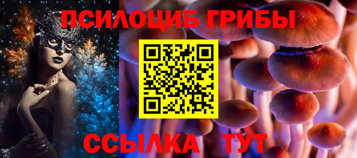 Донецк  Галлюциногенные грибы Cubensis  Вход с VPN 