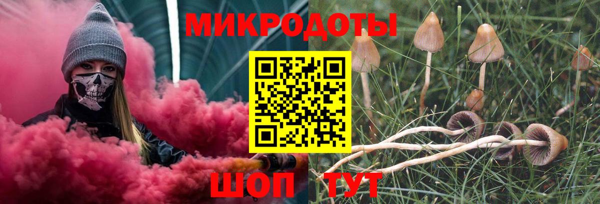 Галлюциногенные грибы Cubensis  Донецк  Псилоцибиновые грибы мухоморы 